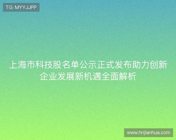 上海市科技股名单公示正式发布助力创新企业发展新机遇全面解析