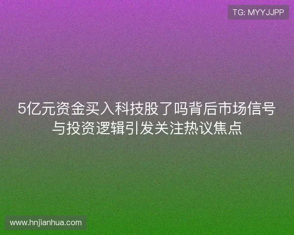 5亿元资金买入科技股了吗背后市场信号与投资逻辑引发关注热议焦点